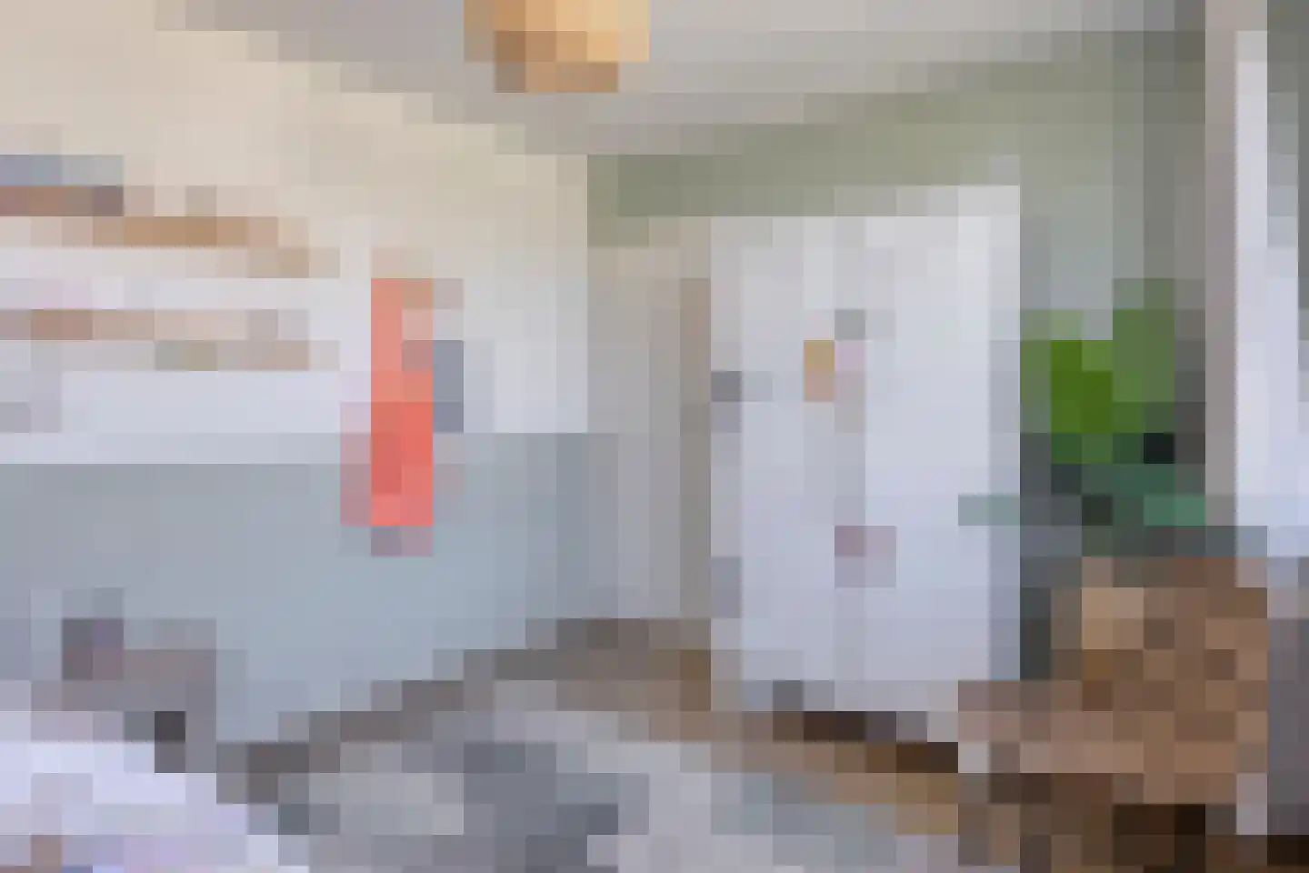 Essenhof 4 Molenhoek thumbnail 19