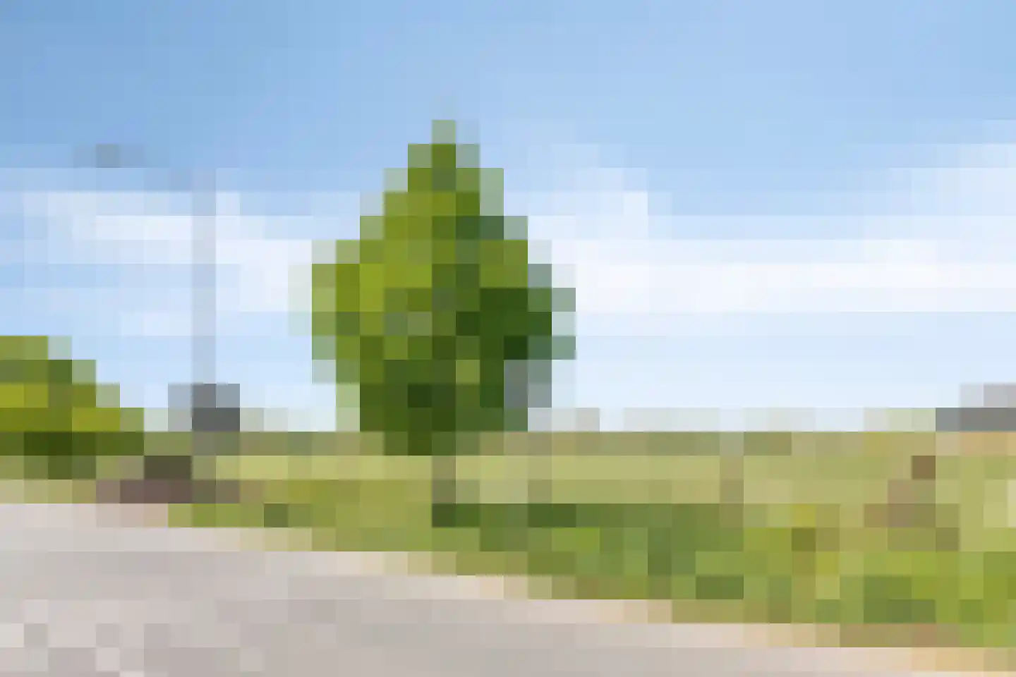 Essenhof 4 Molenhoek thumbnail 35