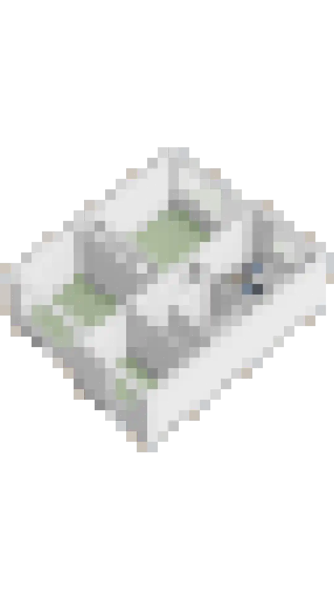 Essenhof 4 Molenhoek thumbnail 39