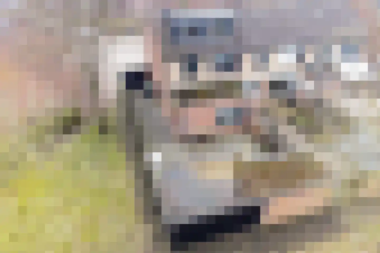 Essenkamp 18 Uddel thumbnail 33