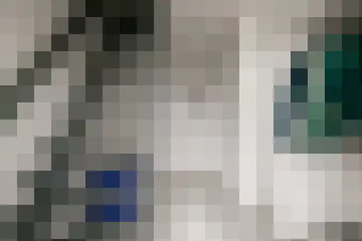 Essenkampstraat 12 Varsseveld thumbnail 13