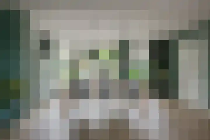 Essenkampstraat 12 Varsseveld thumbnail 23