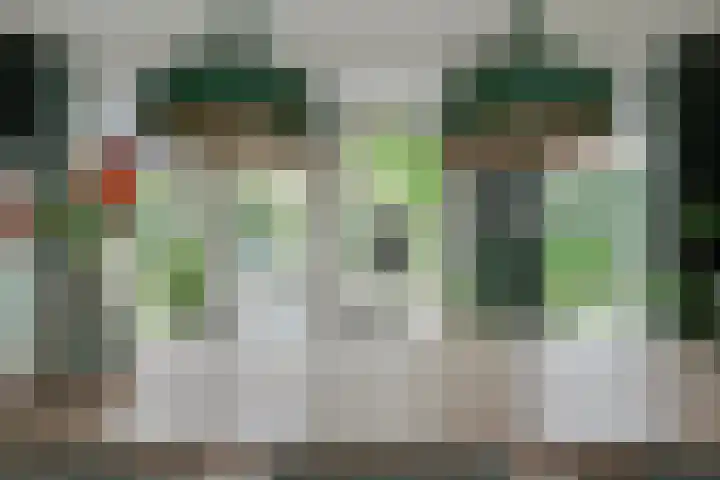 Essenkampstraat 12 Varsseveld thumbnail 24