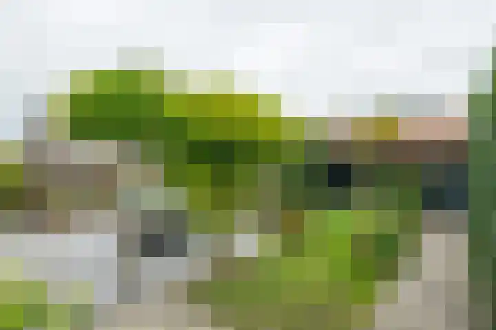 Essenkampstraat 12 Varsseveld thumbnail 47