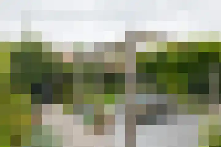 Essenkampstraat 12 Varsseveld thumbnail 48