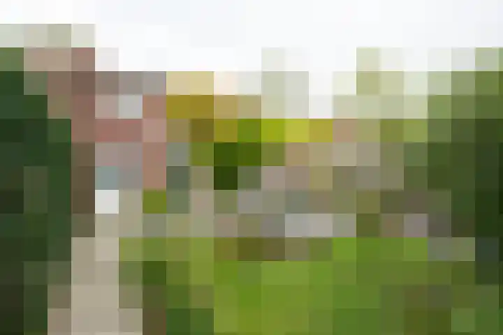 Essenkampstraat 12 Varsseveld thumbnail 5