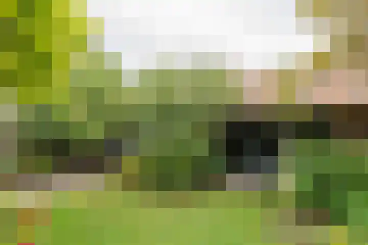 Essenkampstraat 12 Varsseveld thumbnail 50