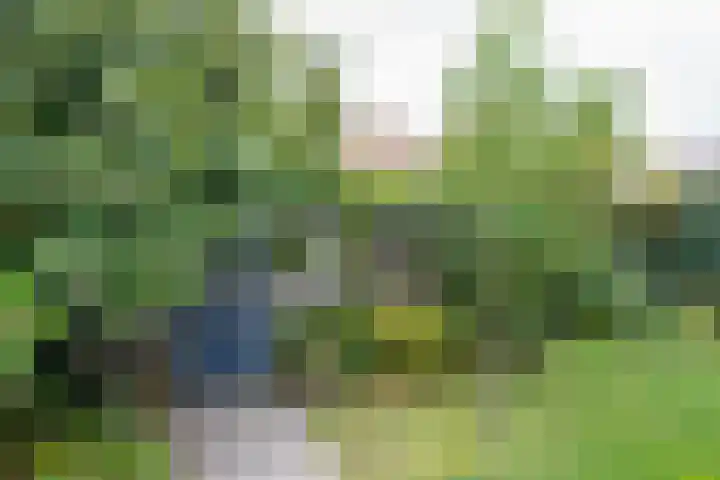 Essenkampstraat 12 Varsseveld thumbnail 51