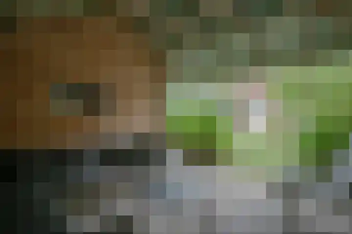Essenkampstraat 12 Varsseveld thumbnail 54