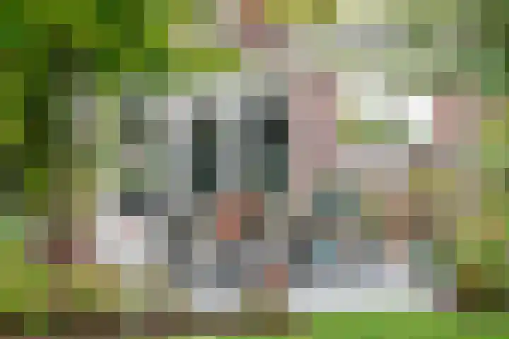 Essenkampstraat 12 Varsseveld thumbnail 57