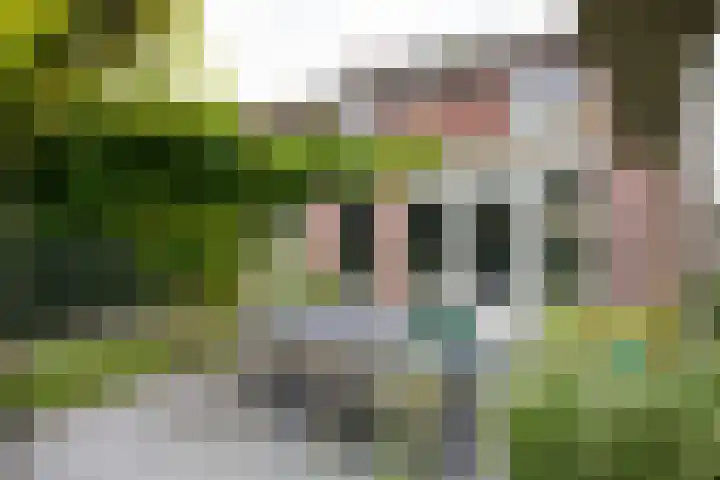 Essenkampstraat 12 Varsseveld thumbnail 58