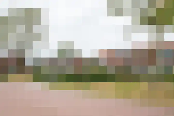 Essenkampstraat 12 Varsseveld thumbnail 61