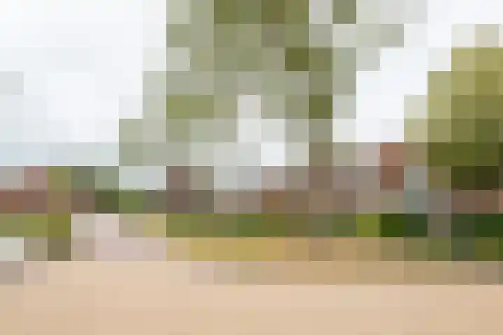Essenkampstraat 12 Varsseveld thumbnail 62