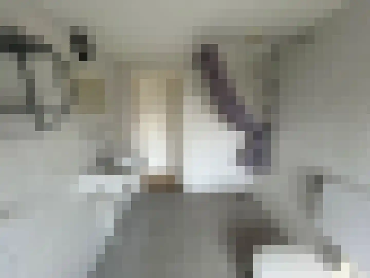 Essenkampstraat 14 Varsseveld thumbnail 23