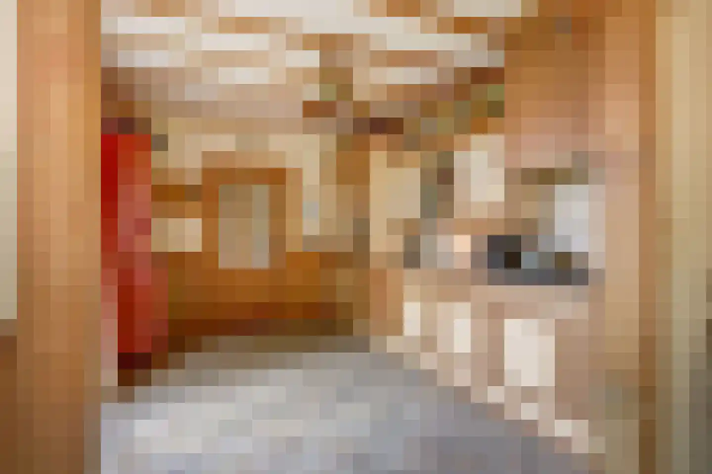 Essenlaan 1 Abbekerk thumbnail 14