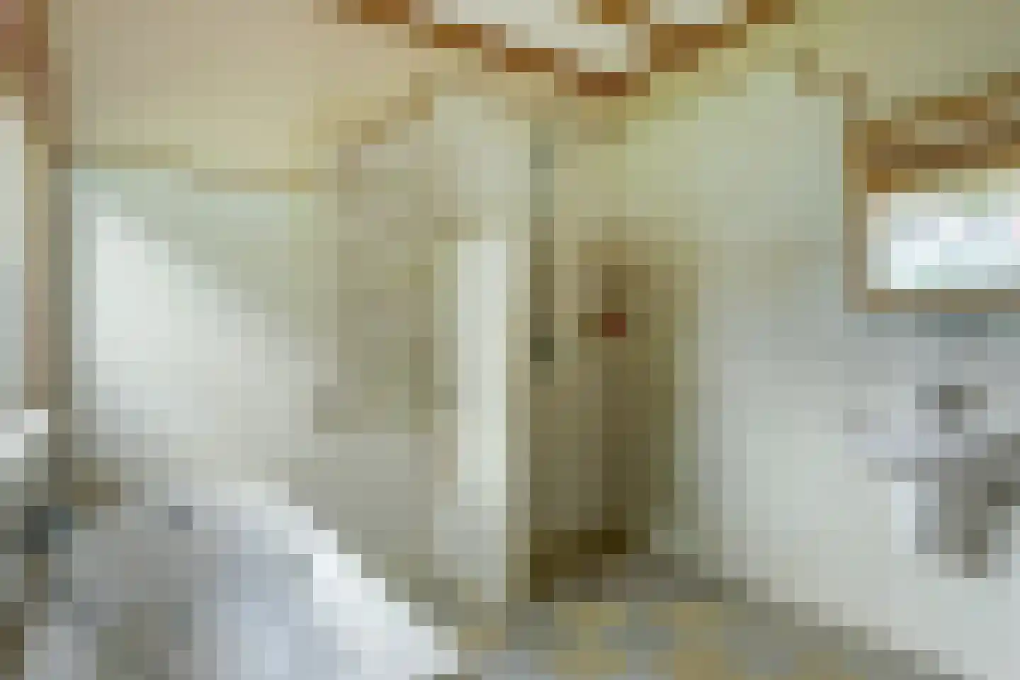 Essenlaan 1 Abbekerk thumbnail 19