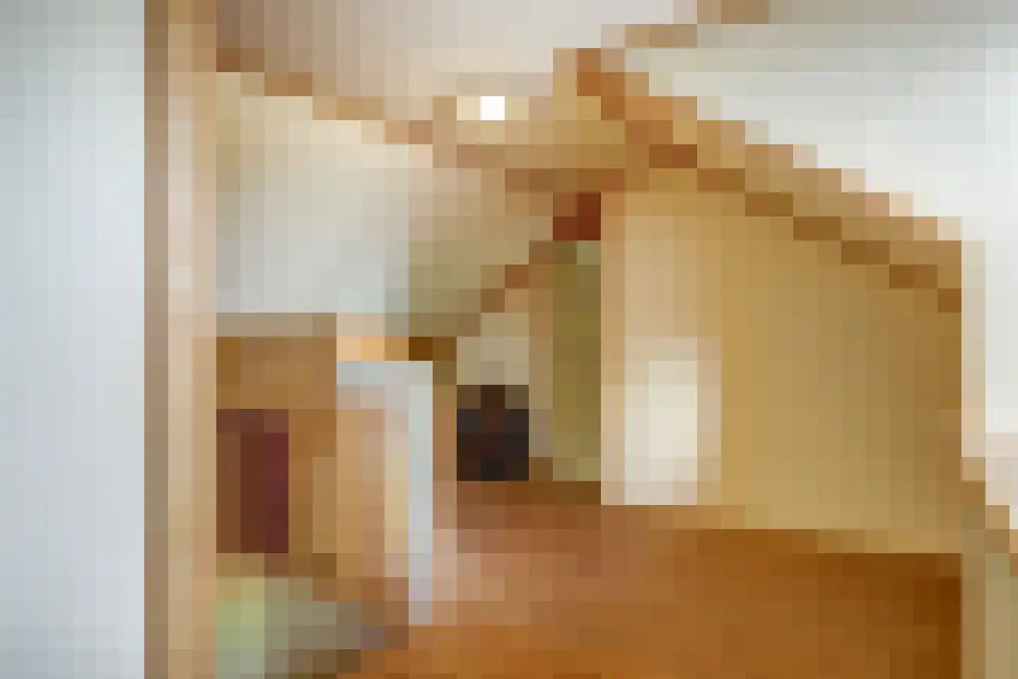 Essenlaan 1 Abbekerk thumbnail 21