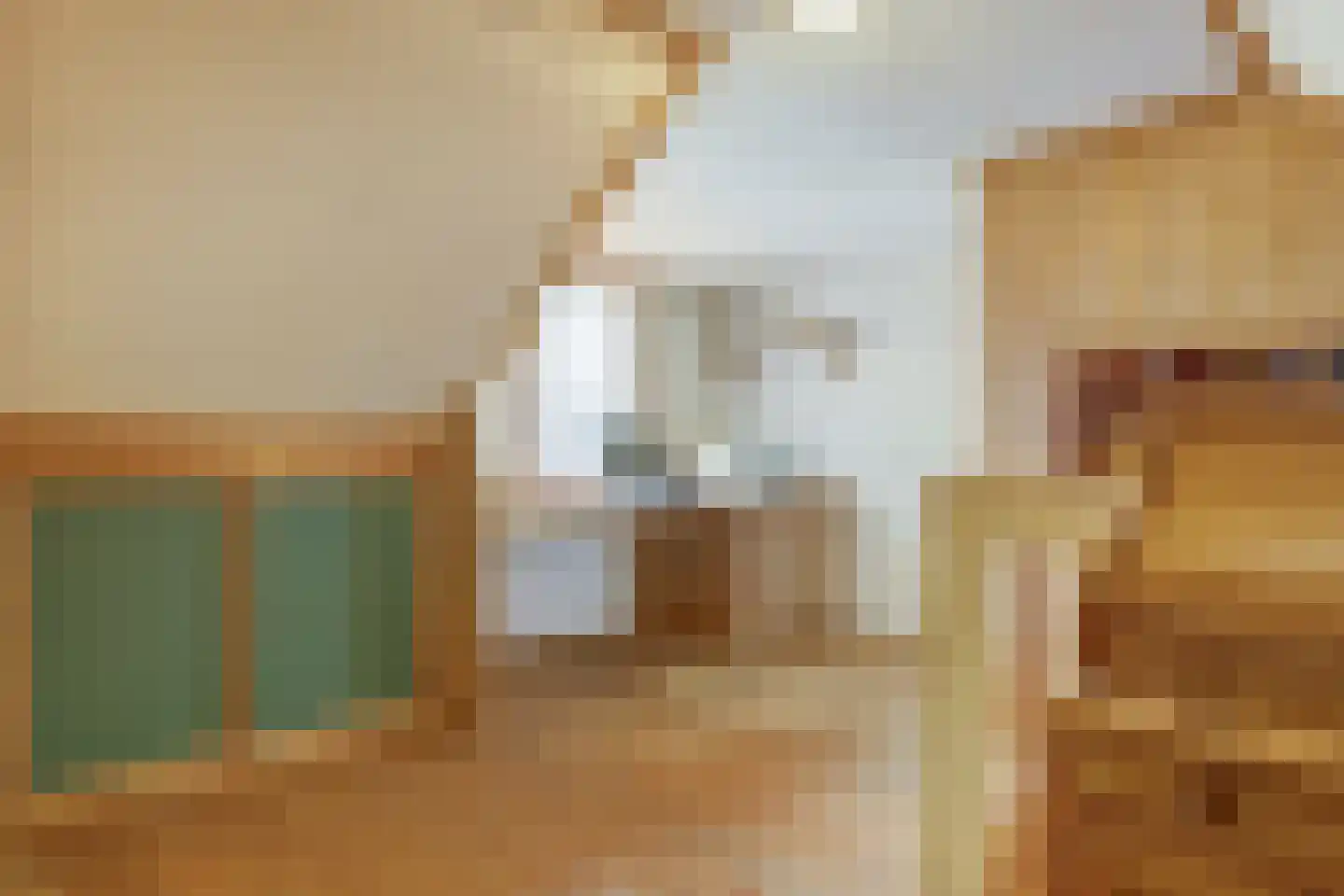 Essenlaan 1 Abbekerk thumbnail 22