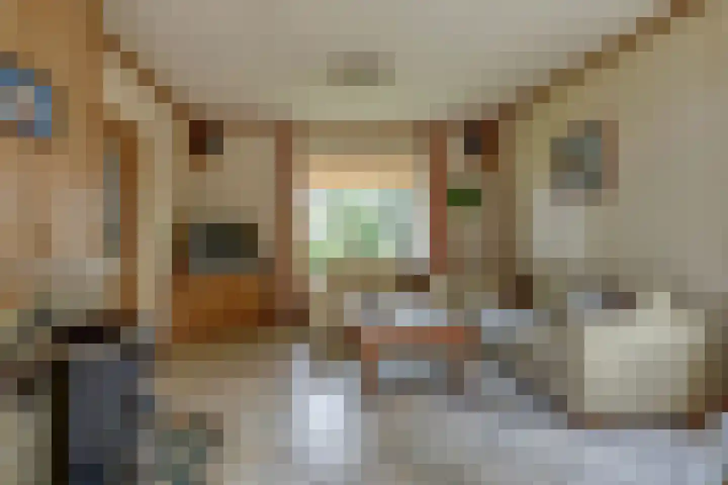 Essenlaan 1 Abbekerk thumbnail 8