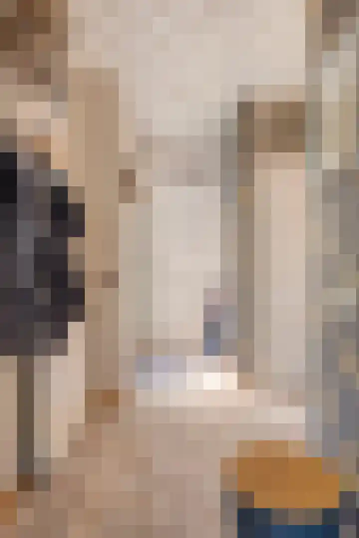 Essenlaan 1 Ouderkerk aan den IJssel thumbnail 11