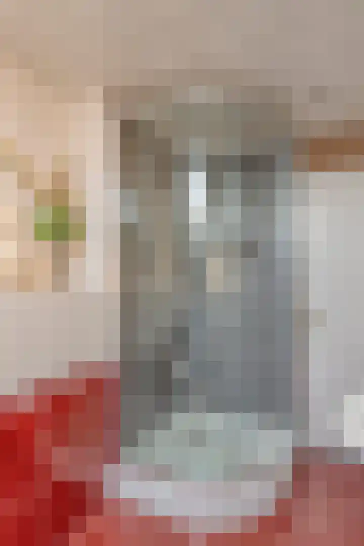 Essenlaan 1 Ouderkerk aan den IJssel thumbnail 20