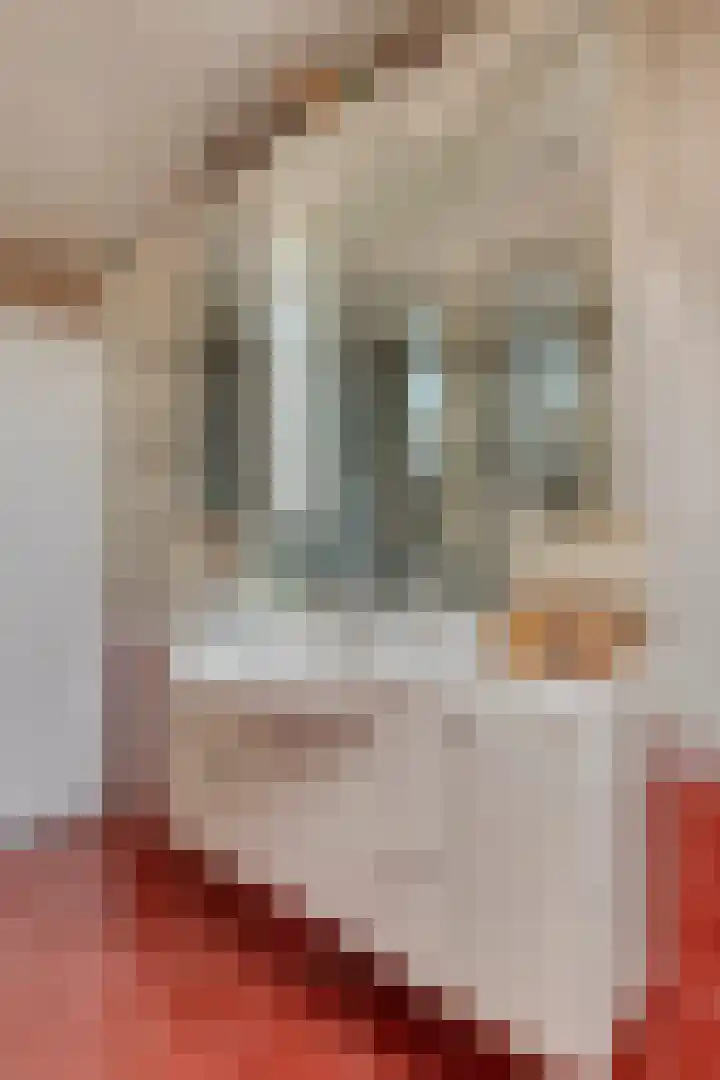 Essenlaan 1 Ouderkerk aan den IJssel thumbnail 21