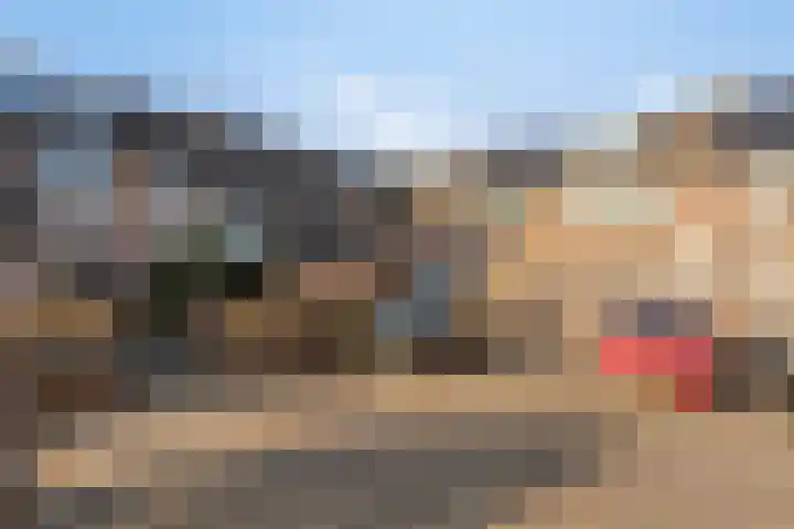 Essenlaan 1 Ouderkerk aan den IJssel thumbnail 29
