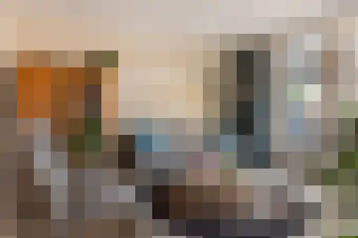 Essenlaan 1 Ouderkerk aan den IJssel thumbnail 4