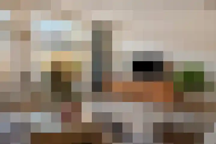 Essenlaan 1 Ouderkerk aan den IJssel thumbnail 5