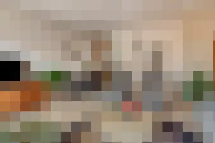 Essenlaan 1 Ouderkerk aan den IJssel thumbnail 6