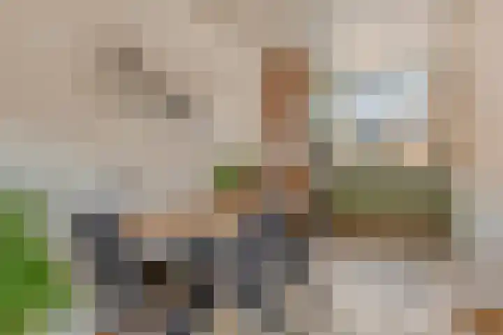 Essenlaan 1 Ouderkerk aan den IJssel thumbnail 7