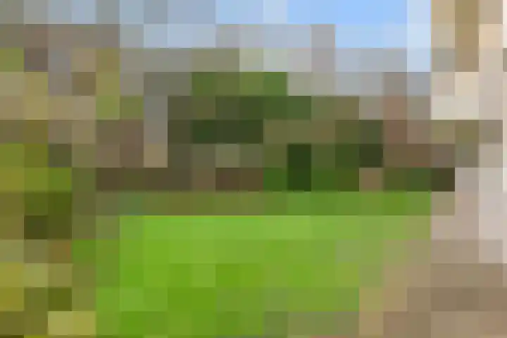 Essenlaan 10 Nijkerk