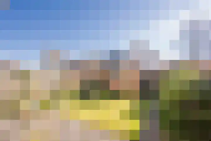 Essenlaan 10 Nijkerk foto 2