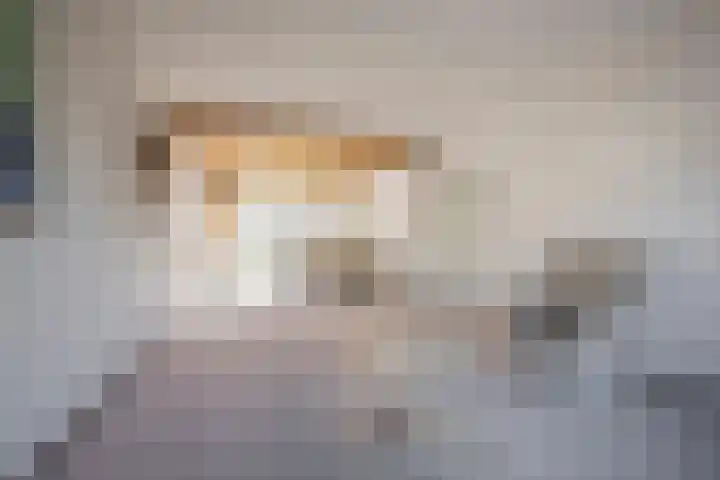 Essenlaan 10 Nijkerk foto 3