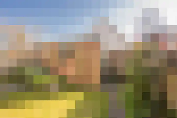 Essenlaan 10 Nijkerk thumbnail 31