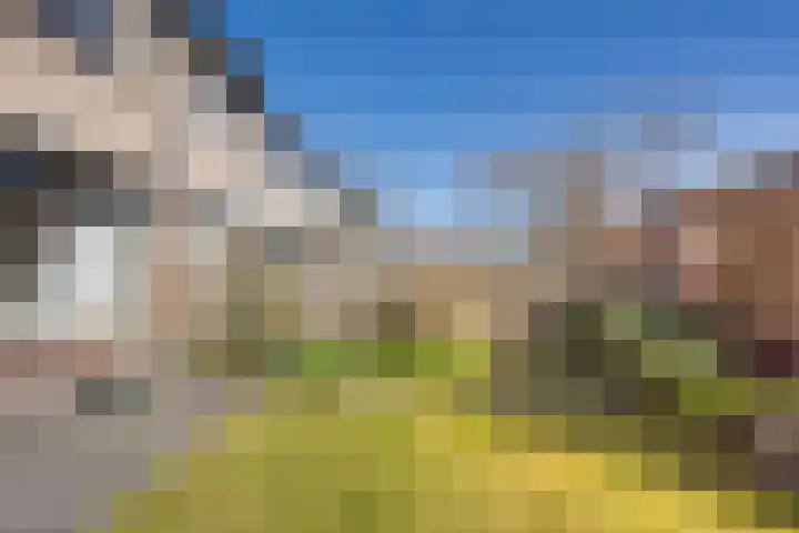 Essenlaan 10 Nijkerk thumbnail 32