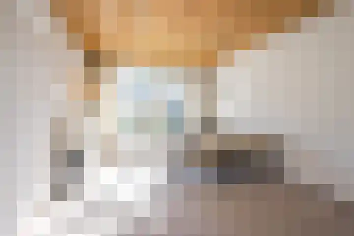 Essenlaan 10 Nijkerk thumbnail 4