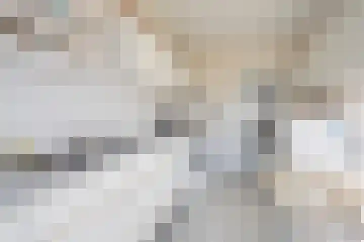 Essenlaan 10 Nijkerk thumbnail 8