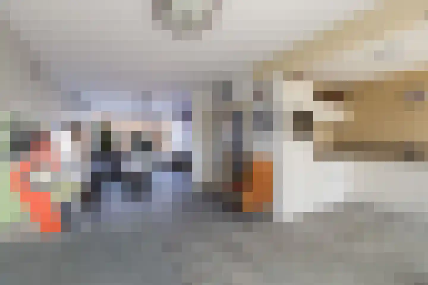 Essenlaan 10 Ouderkerk aan den IJssel thumbnail 12