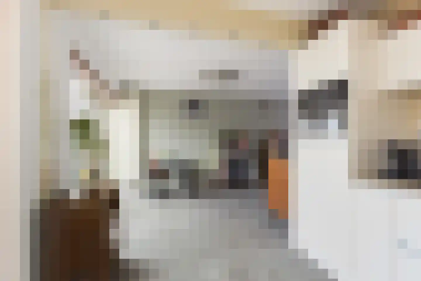Essenlaan 10 Ouderkerk aan den IJssel thumbnail 16
