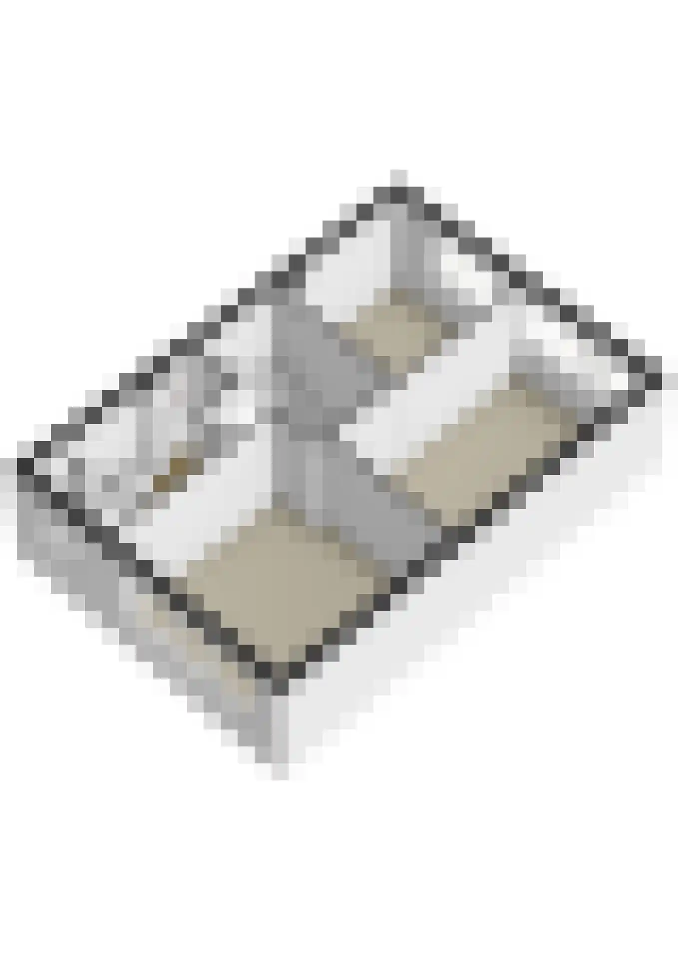 Essenlaan 10 Ouderkerk aan den IJssel thumbnail 51