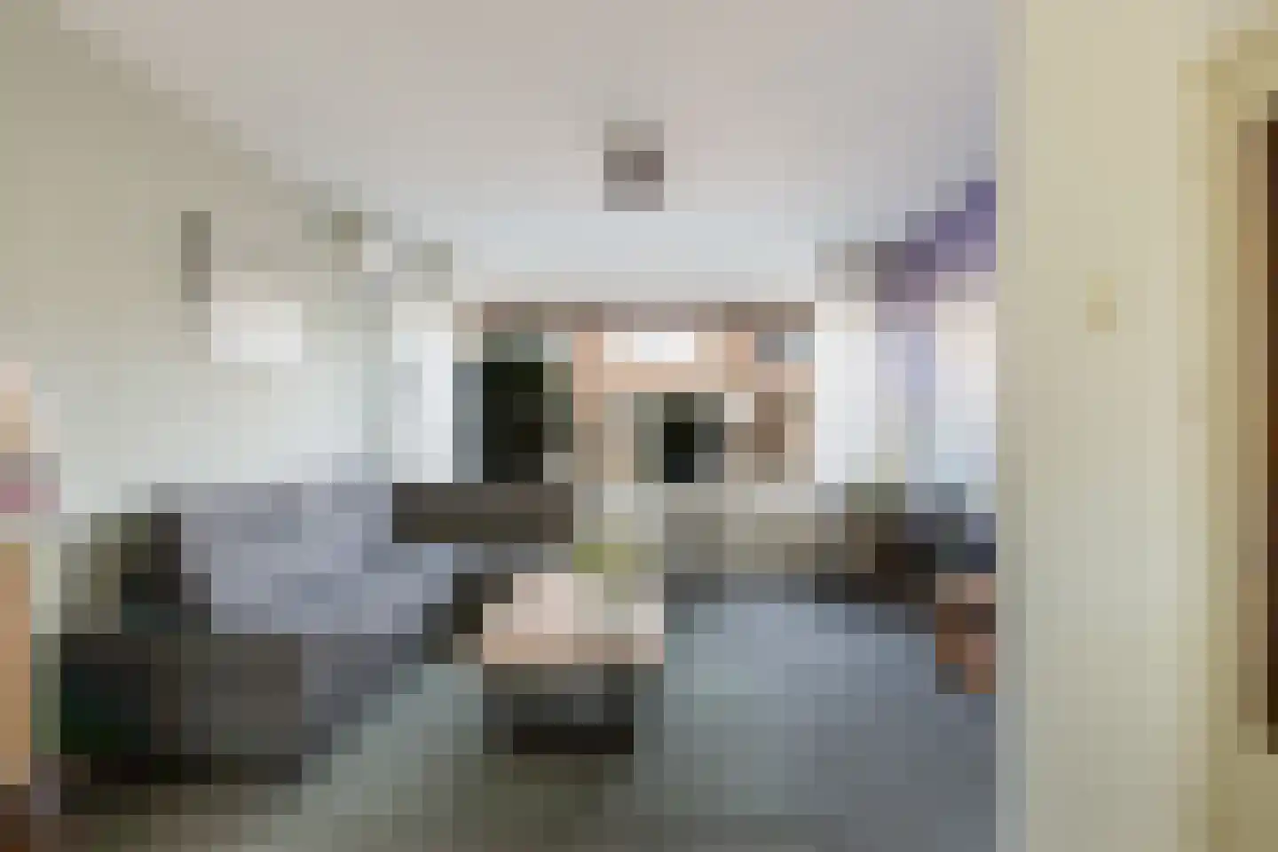 Essenlaan 10 Ouderkerk aan den IJssel thumbnail 6