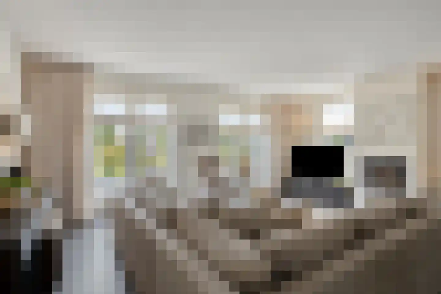 Essenlaan 100 Dirksland thumbnail 13