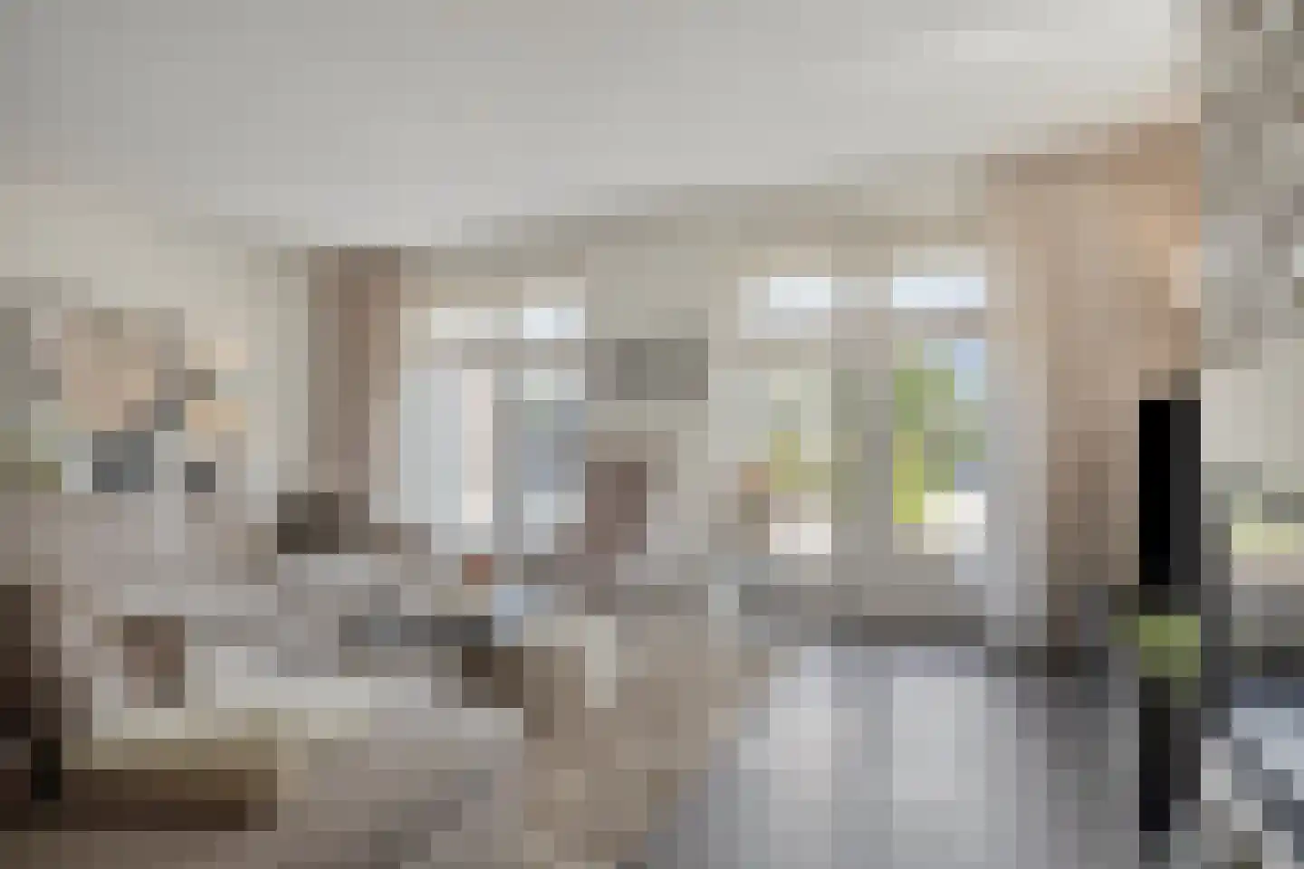 Essenlaan 100 Dirksland thumbnail 14