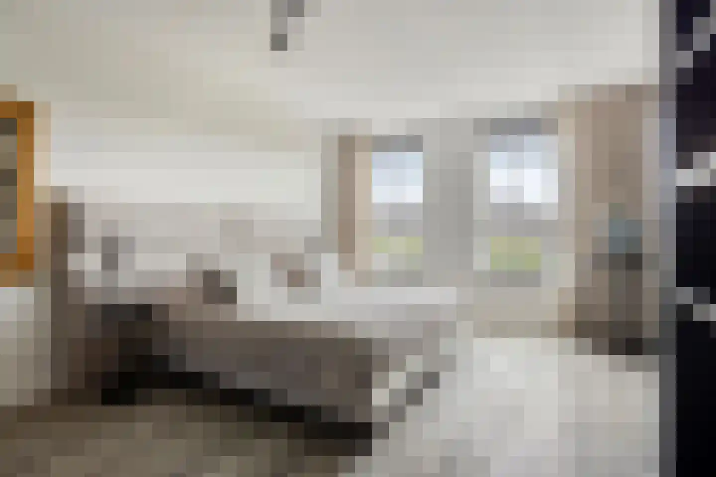 Essenlaan 100 Dirksland thumbnail 20
