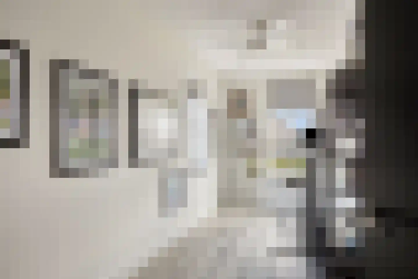 Essenlaan 100 Dirksland thumbnail 25