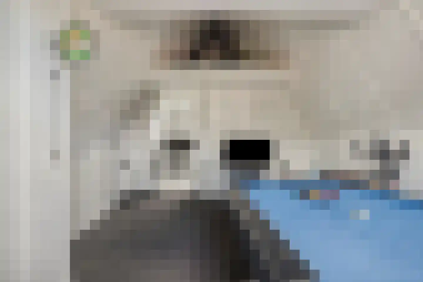 Essenlaan 100 Dirksland thumbnail 28