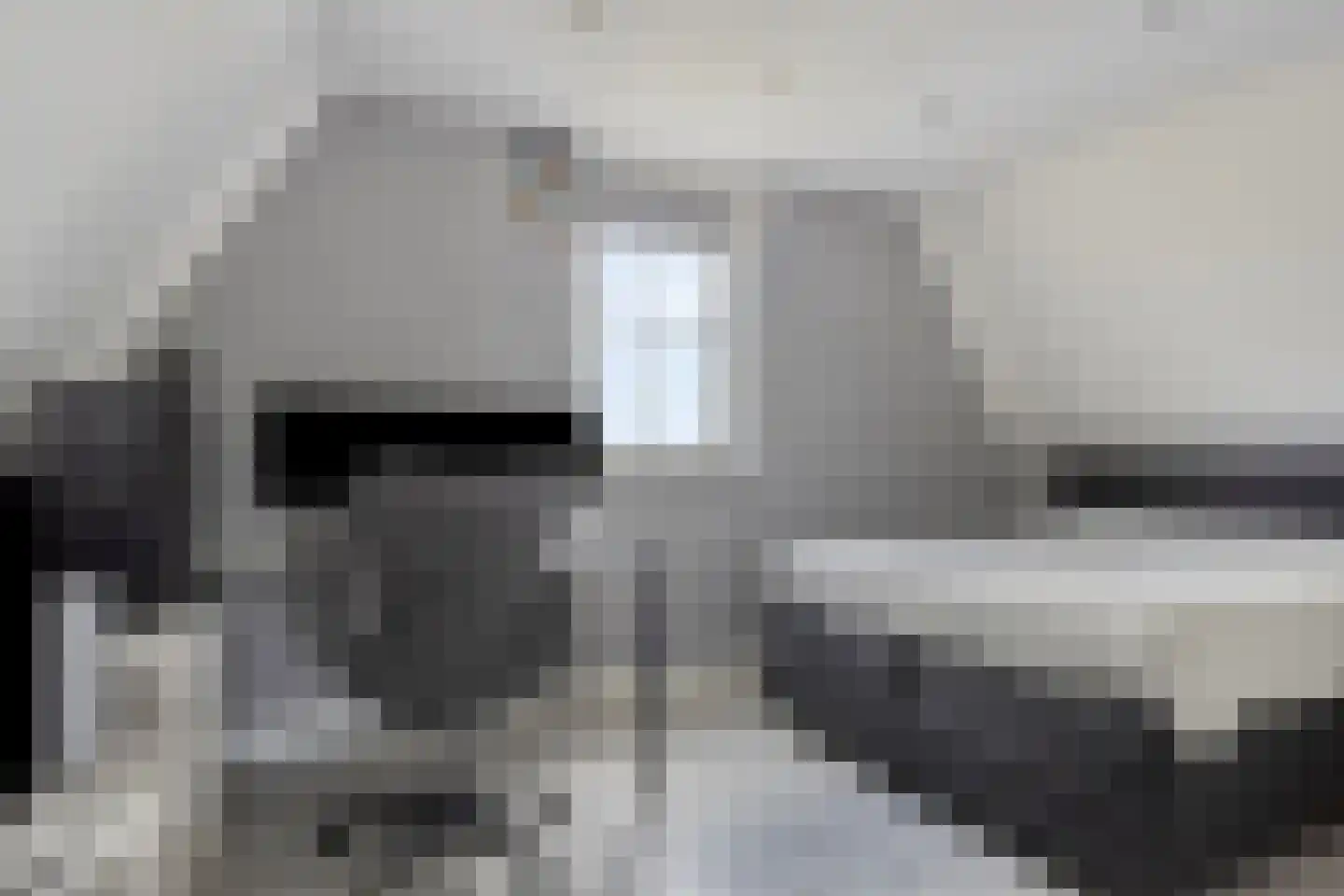 Essenlaan 100 Dirksland thumbnail 30