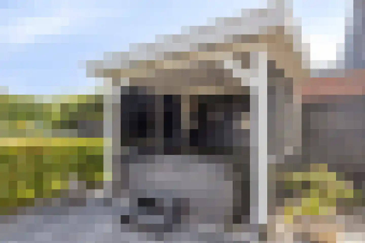 Essenlaan 100 Dirksland thumbnail 34
