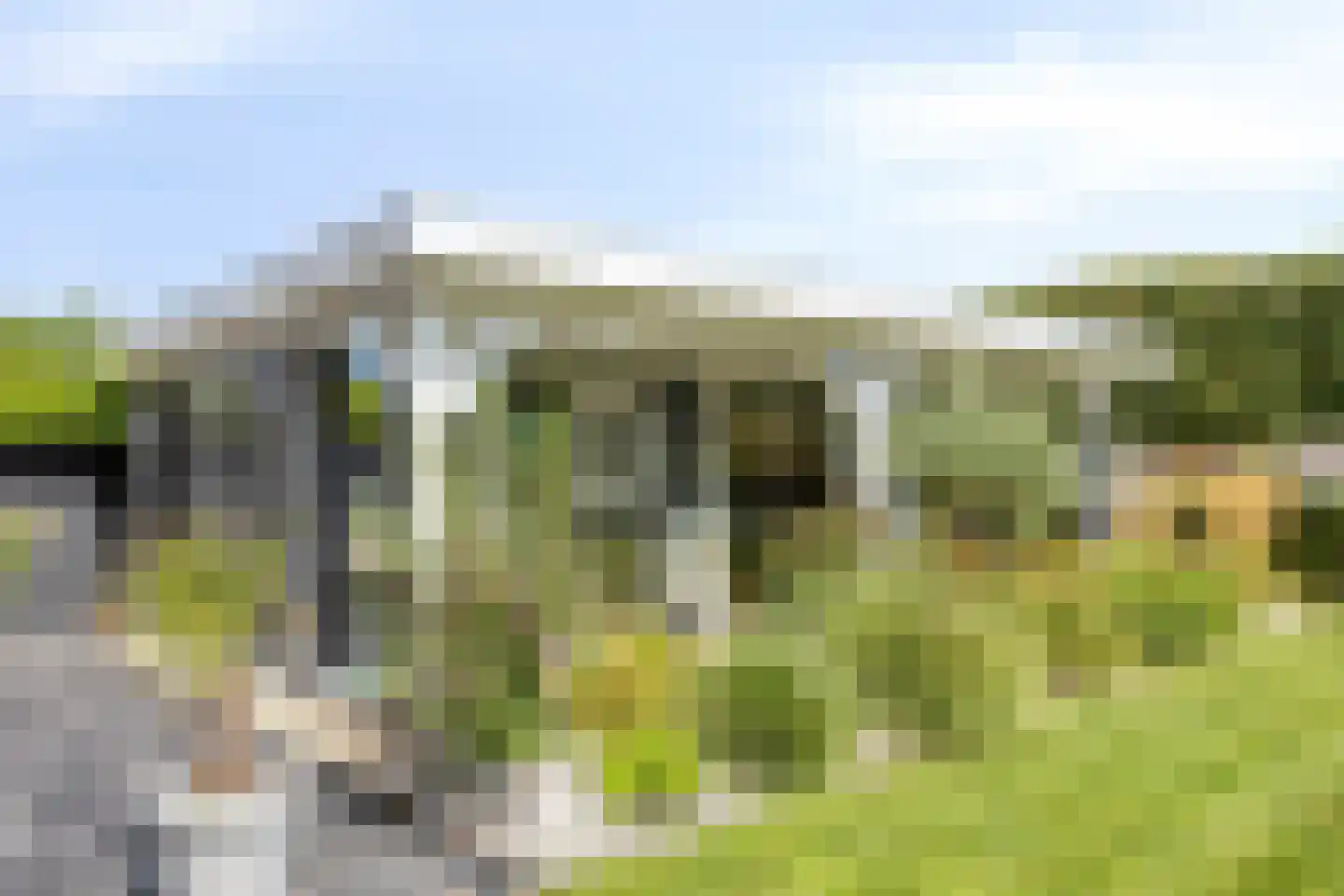 Essenlaan 100 Dirksland thumbnail 35